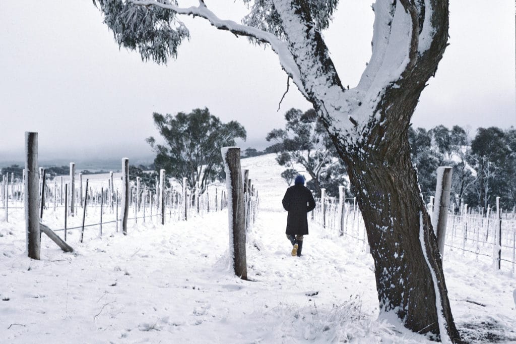 Bloodwood Winery Orange NSW