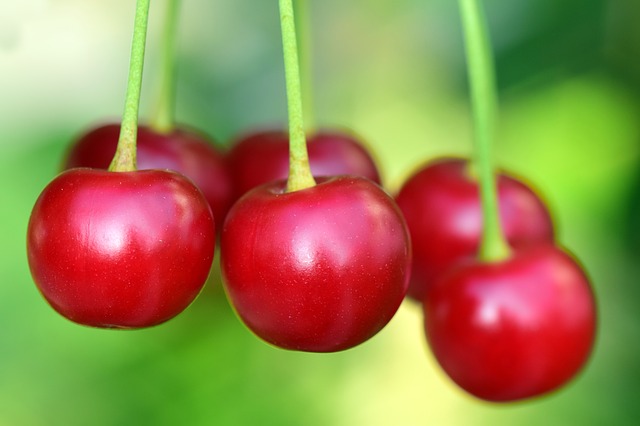 A Guide to Cherry Season in Orange NSW